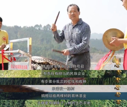 匠心故事：偉業牌板材關于深山里的香杉夢