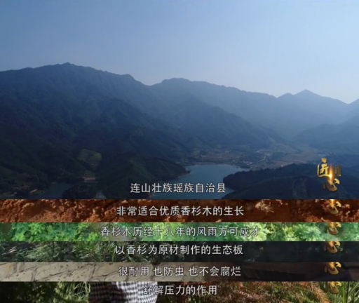 匠心故事：偉業牌板材關于深山里的香杉夢