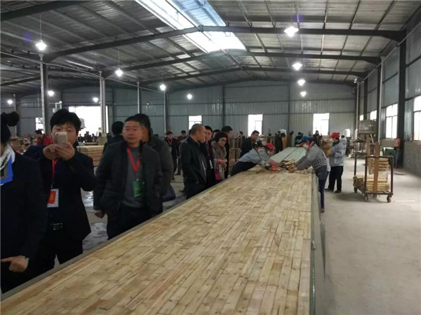 “315”，金利源健康板材給您打一支品質(zhì)強(qiáng)心針！