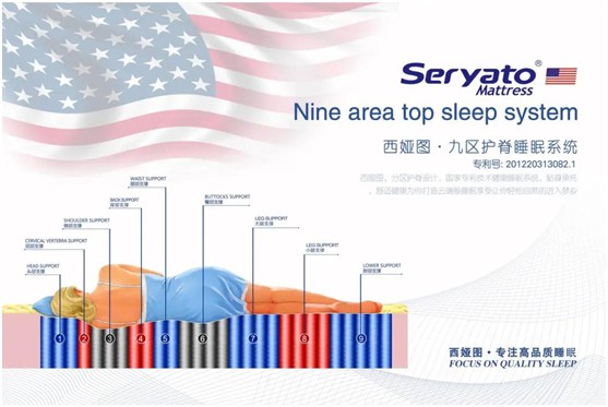 圖發展 贏未來：破局2020，西婭圖抓住新機遇!