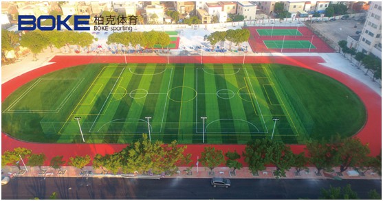 柏克體育：照亮運(yùn)動(dòng)之美，智造未來之光